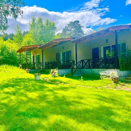 Private Bed & Breakfast Shchūchīnsk Екстериор снимка