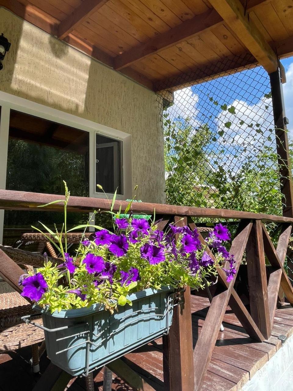 Private Bed & Breakfast Shchūchīnsk Екстериор снимка